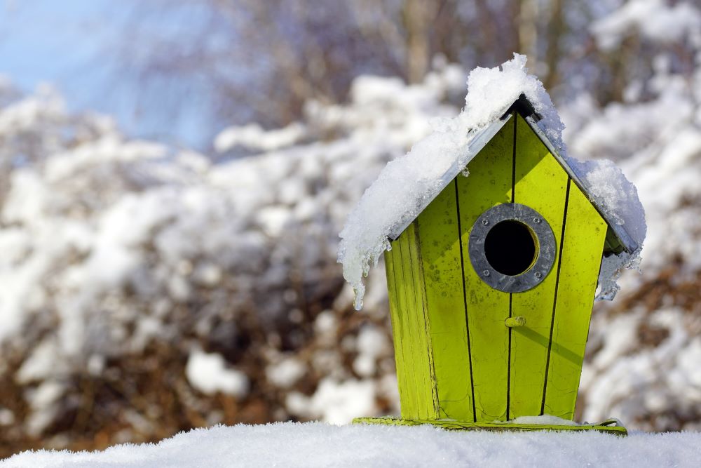 frozen bird house in snow