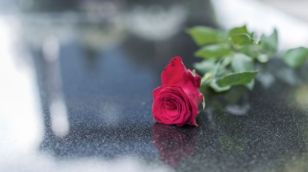 Blog | What Happens to your Account When you Die?