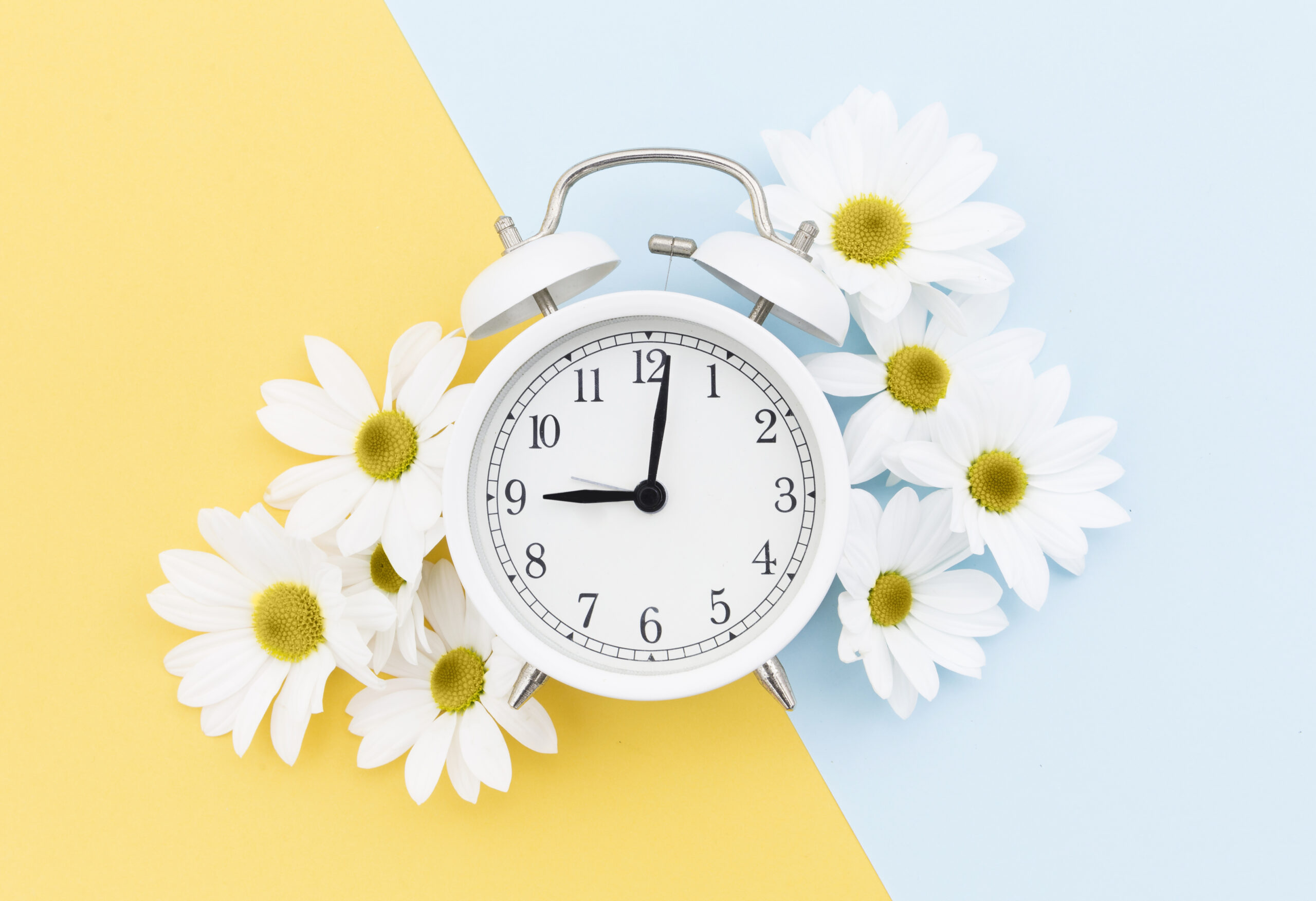 top view arrangement with clock daisies